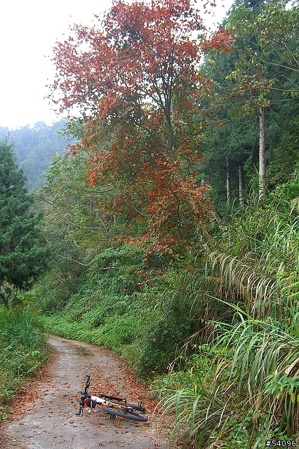 [路線分享]多納林道, 寒流夾雜下雨濃霧之通往林道 21K封閉處!!(37張圖)