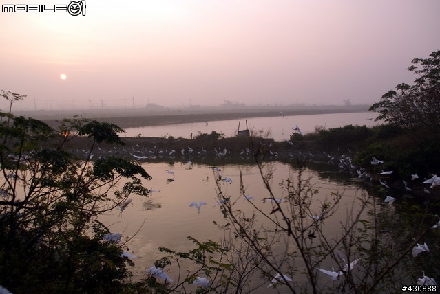 台南市逍遙晨騎 賞鳥團