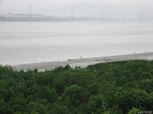[分享]年終暴冷社子島之旅