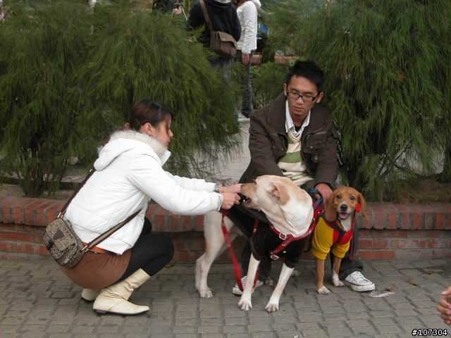老婆不在家之-身騎白馬鼻水雙管流新中橫之行(1/6照片全部上傳完畢)