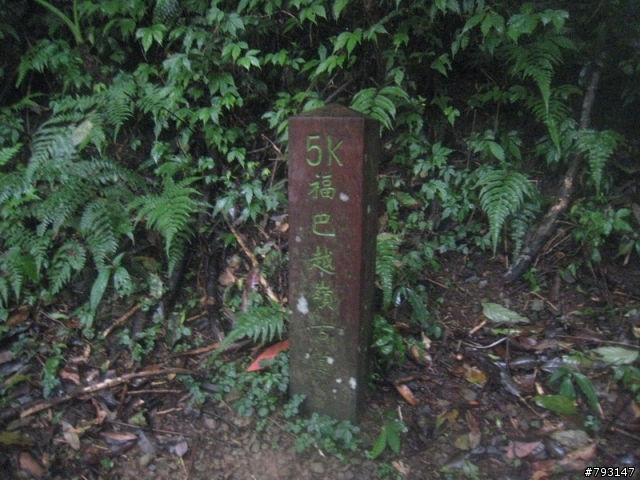 山林越野路線--滑胎樂與扛車樂的結合-- 2.6 度 的巴福越嶺