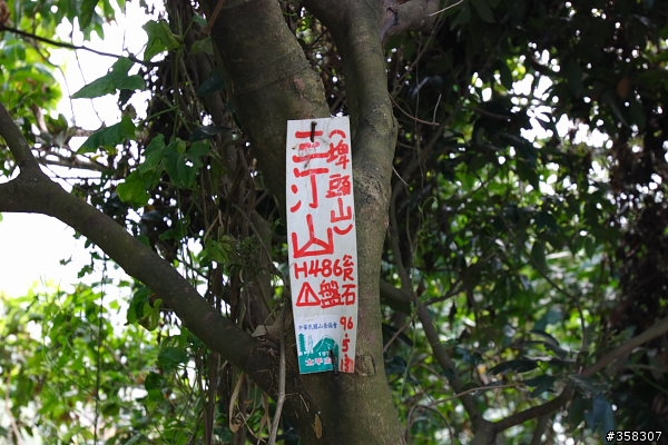 太平：小百岳～三汀山、埤頭山