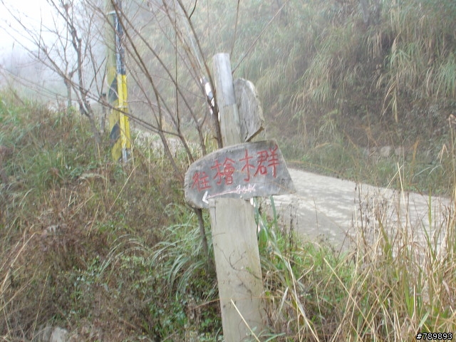 [溫泉探路]三支冰棒篇 2008/01/01