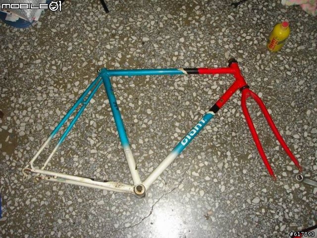 沒看過的捷安特老車架