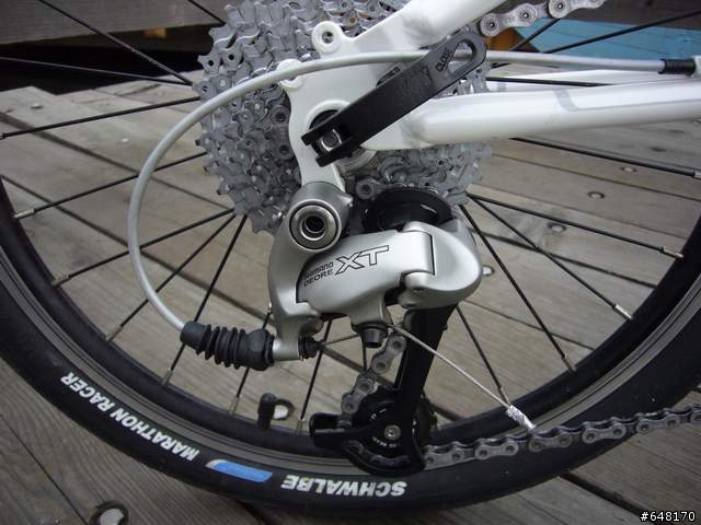 [分享]Dahon 亮光白 Speed SP16(改SP18)加兄弟車 鐵灰 Speed SP8(改SP18)圖多