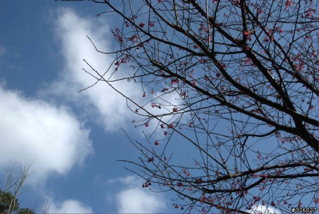 97-01-06 上八連路-下汐萬路一圈[有圖]