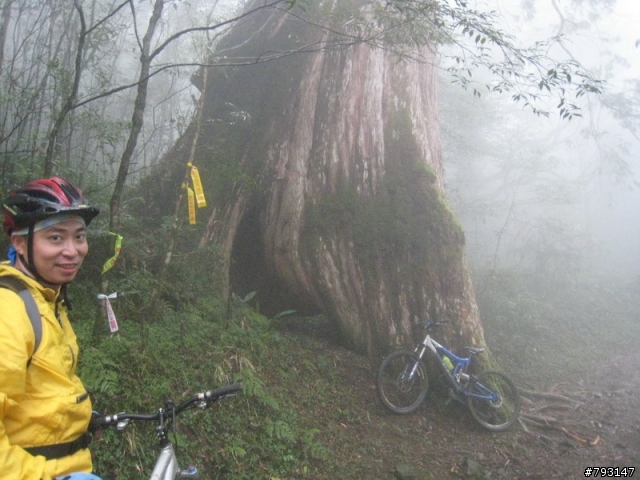 山林越野路線--滑胎樂與扛車樂的結合-- 2.6 度 的巴福越嶺