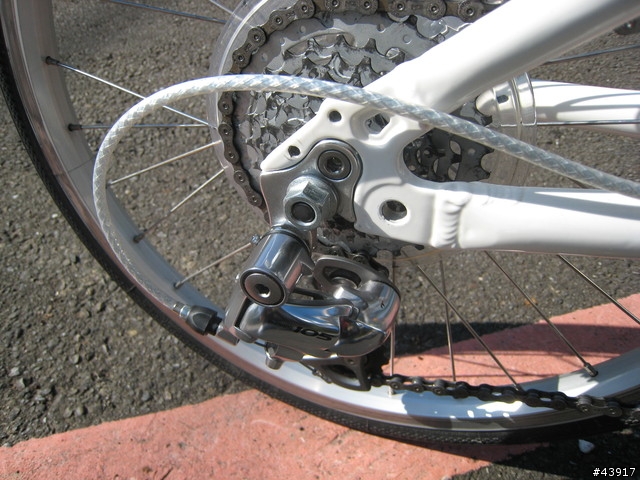 DAHON VD21 小白 終於真的完全進化
