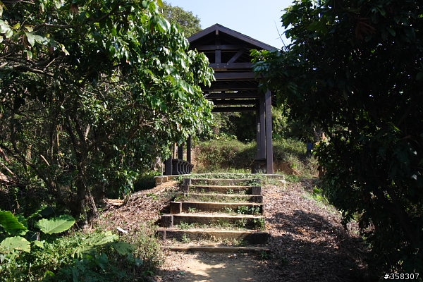 太平：小百岳～三汀山、埤頭山