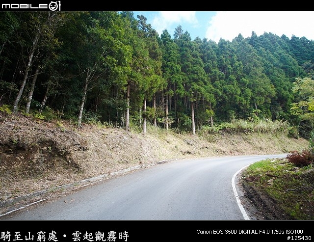 騎至山窮處‧雲起觀霧時～單車初探大鹿林道