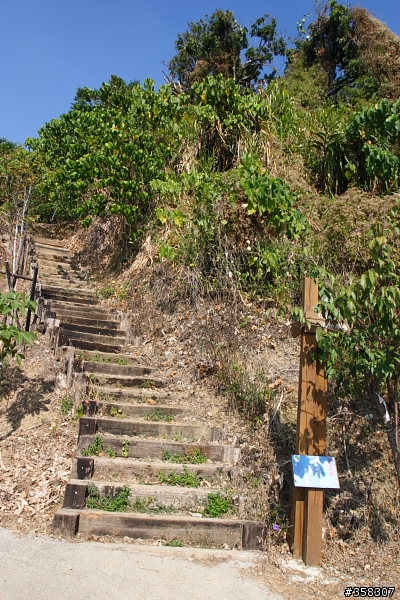 太平：小百岳～三汀山、埤頭山