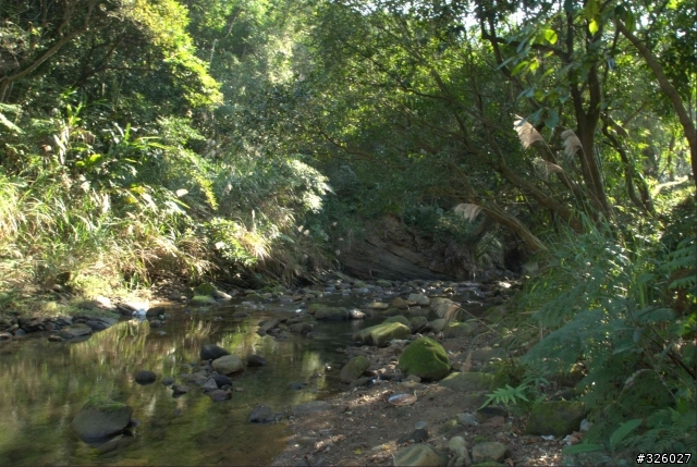 97-01-06 上八連路-下汐萬路一圈[有圖]