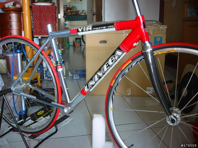 [分享] 我自己動手組裝的公路車