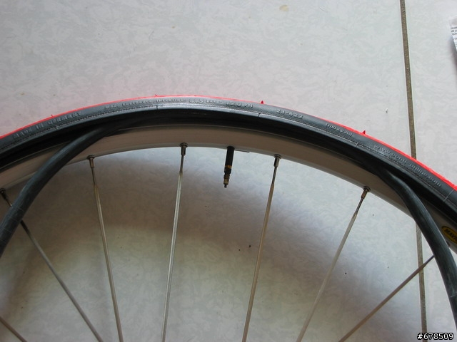 [分享] 我自己動手組裝的公路車