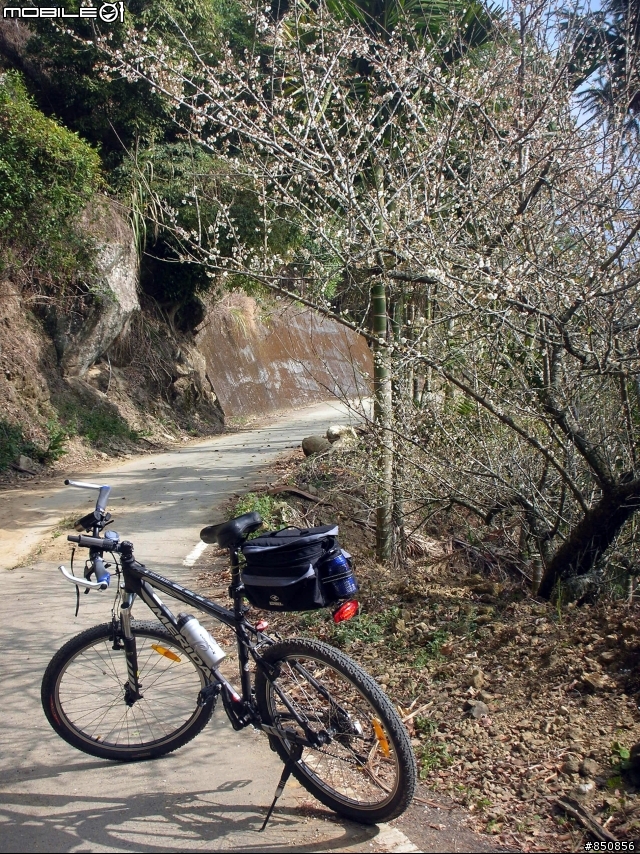 武嶺的試金石：從中寮上集集大山