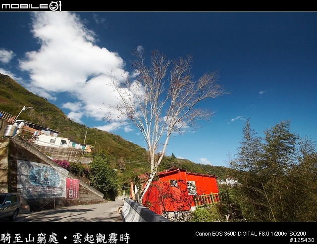 騎至山窮處‧雲起觀霧時～單車初探大鹿林道