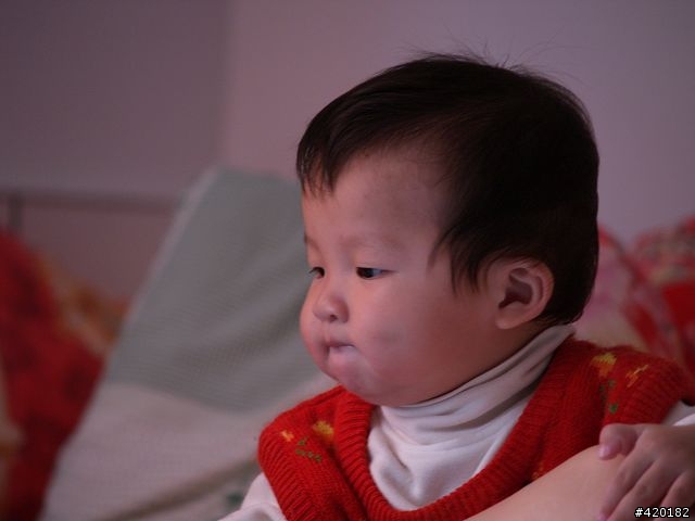 [開箱]2008 開春敗家 Fuji S5pro