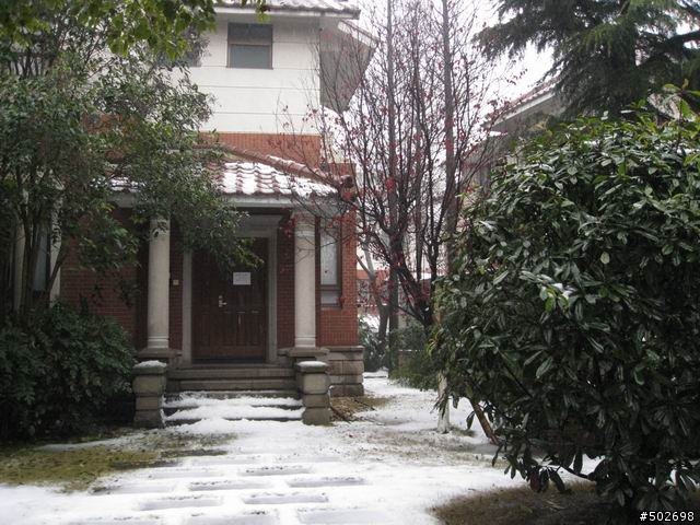上海下大雪