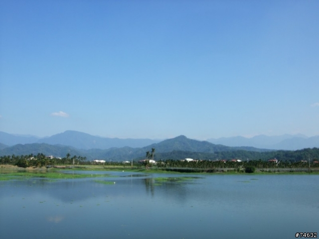 2008年1月5日天氣晴,美食,美景...........鐵腿!