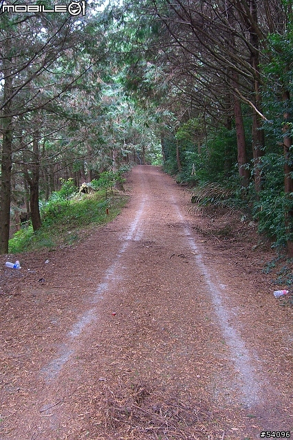 [路線分享]多納林道, 寒流夾雜下雨濃霧之通往林道 21K封閉處!!(37張圖)
