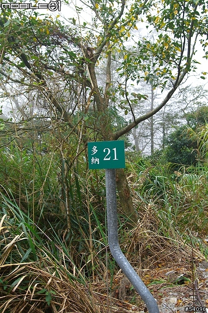 [路線分享]多納林道, 寒流夾雜下雨濃霧之通往林道 21K封閉處!!(37張圖)