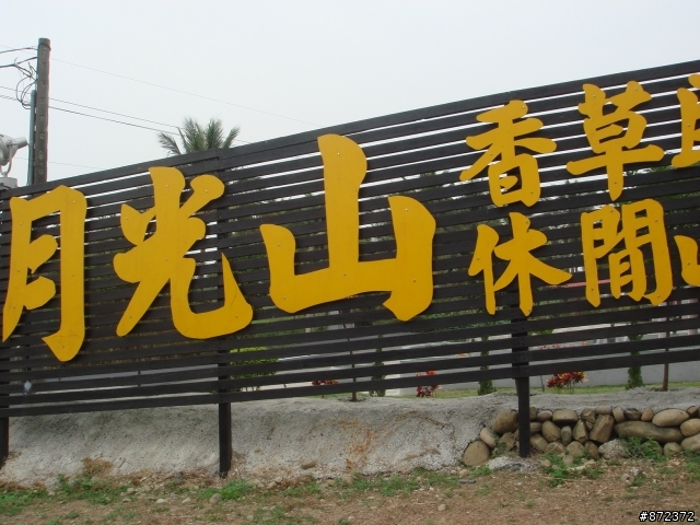 美式機車俱樂部（公屏會）甲仙小跑～斜張橋看夜景..