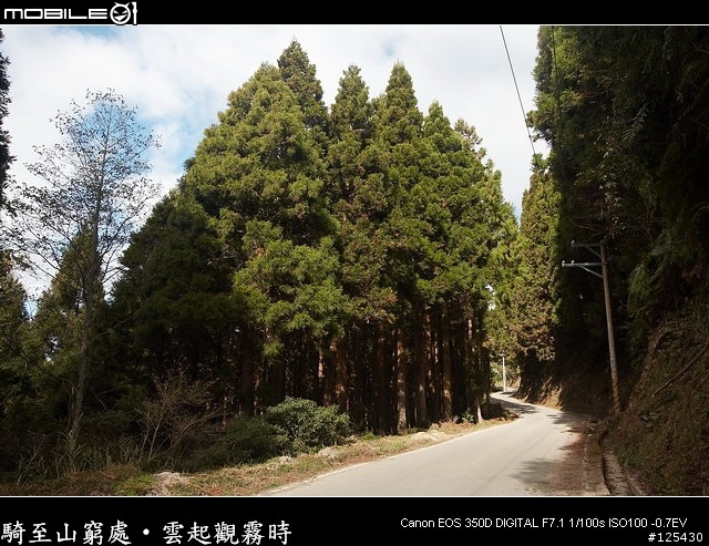 騎至山窮處‧雲起觀霧時～單車初探大鹿林道