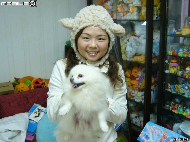 等待許久的小岩井農場綿羊帽開箱文