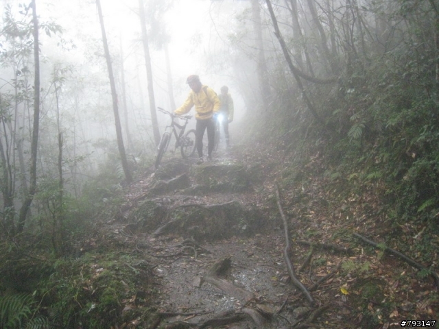 山林越野路線--滑胎樂與扛車樂的結合-- 2.6 度 的巴福越嶺