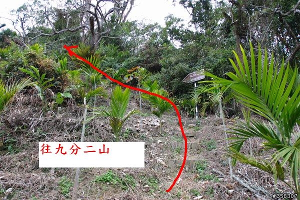 九分二山