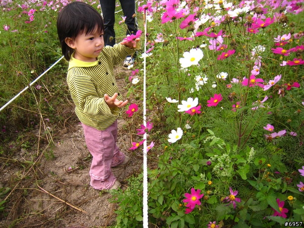 [分享] 溫馨的竹蜻蜓三灣親子行