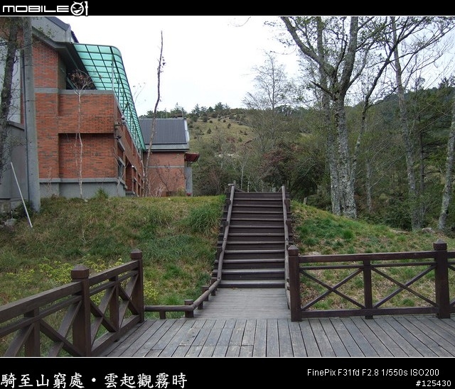 騎至山窮處‧雲起觀霧時～單車初探大鹿林道