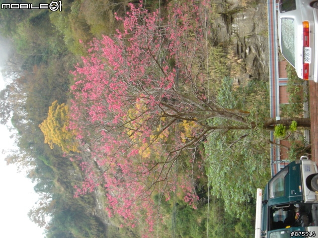 1月13司馬林道心得報告!!(圖多廢話少)失焦請見諒阿