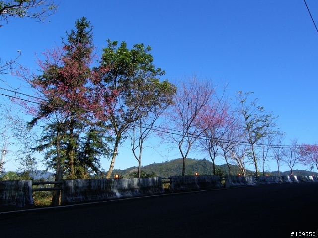 [不專業遊記分享]連阿婆阿公都在騎的羅馬路線!?