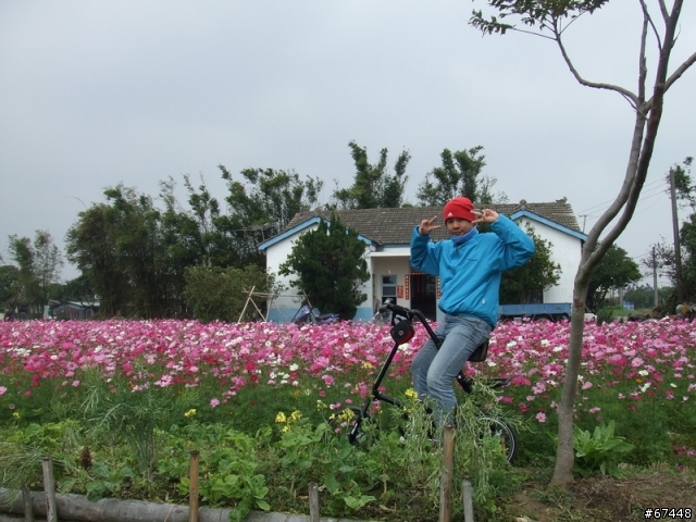 年初3台中潭雅神綠園道海放行