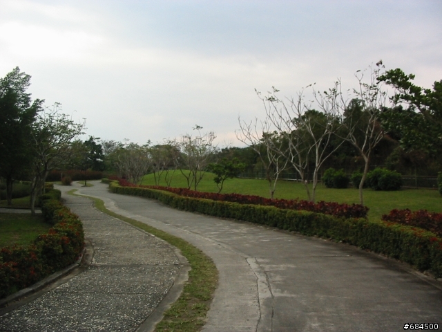 東遊記之關山自行車道與黑森林公園(圖多)
