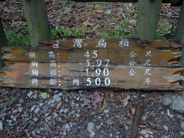 【分享】2008-02-16-雨過天晴的觀霧行