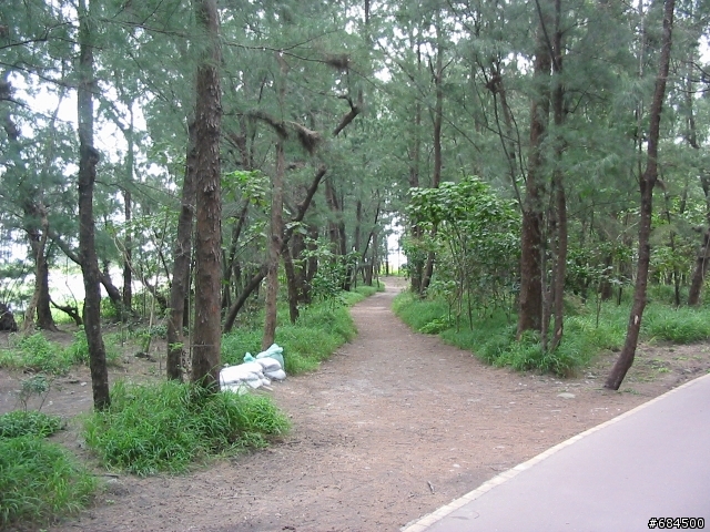 東遊記之關山自行車道與黑森林公園(圖多)