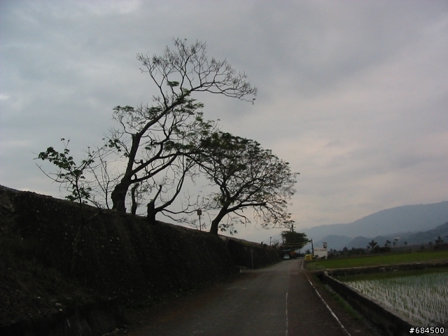 東遊記之關山自行車道與黑森林公園(圖多)