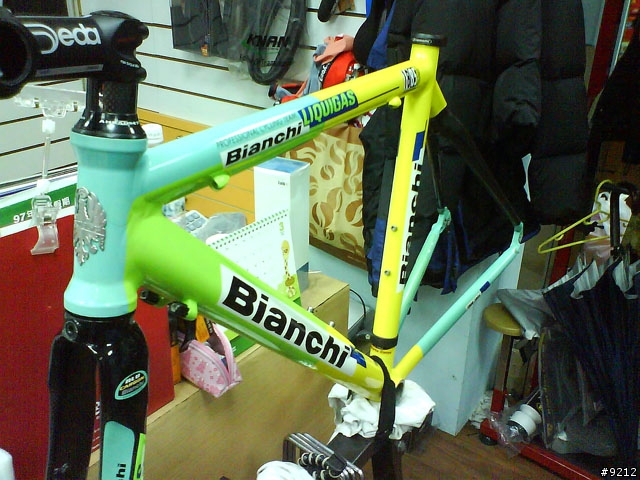 分享我的前 bianchi