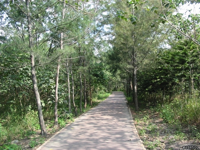 東遊記之關山自行車道與黑森林公園(圖多)