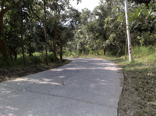 台南-關廟：心曠神怡的腳踏車步道（關廟森林公園-傳說中的關廟休息站路線）