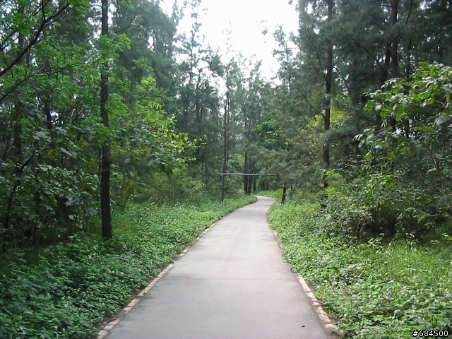 東遊記之關山自行車道與黑森林公園(圖多)