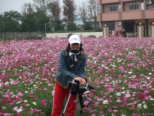 年初3台中潭雅神綠園道海放行