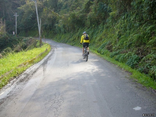 【分享】2008-02-16-雨過天晴的觀霧行