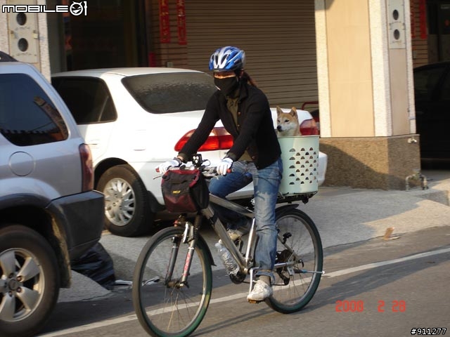 魔男宅急便 在員林二輪木屋出沒