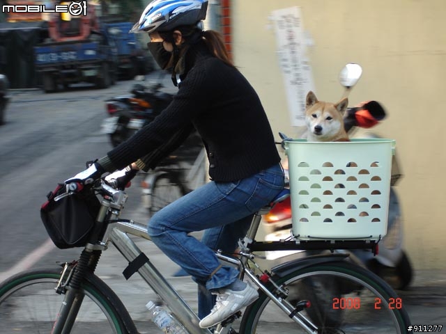 魔男宅急便 在員林二輪木屋出沒
