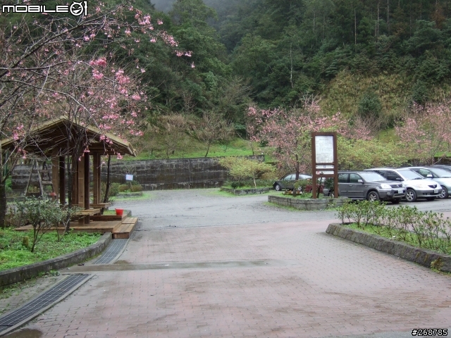 我的畢業返鄉之旅…北橫公路(圖多)