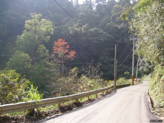 【分享】2008-02-16-雨過天晴的觀霧行