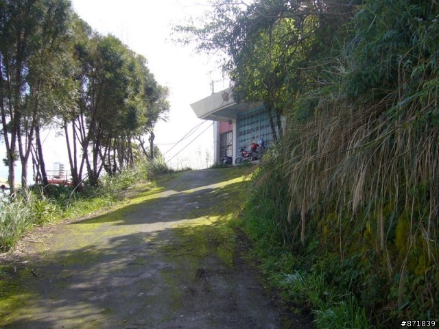 【分享】2008-02-16-雨過天晴的觀霧行